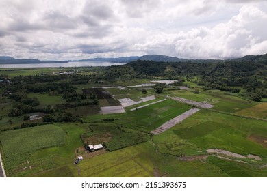 Rice Field with beautiful sky at Kakas Village Minahasa north Sulawesi indonesia, 1 may 2022 taken by mavic 2s with HLG profile