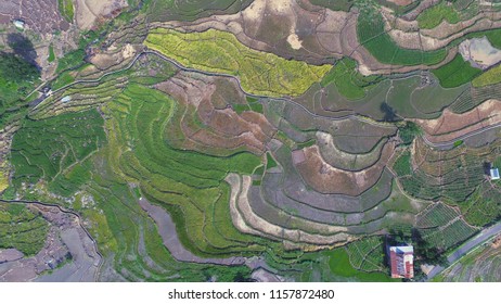 Rice field from the drone view - Shutterstock ID 1157872480