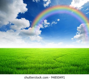 Rice Field Green Grass Blue Sky Cloud Cloudy Landscape Background Yellow Rainbow