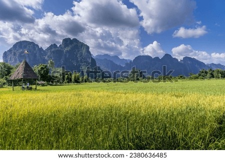 Rice field with mountain rage in Background at Laos.