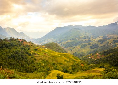 Rice field on terraces in Ta Van- sapa, vietnam.  - Shutterstock ID 721039834