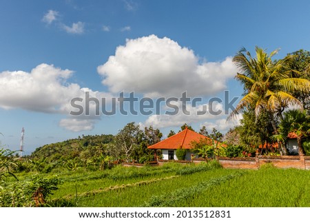 Rice field, palm trees and village houses, rural landscape, Karangasem, Bali, Indonesia