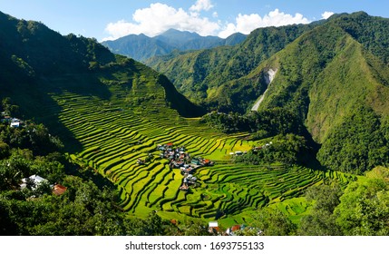 Rice Field Terraces Area Batadin Philippines Stock Photo 1693755133 ...