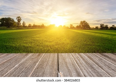 Rice field with vintage style wooden floor perspective in morning.