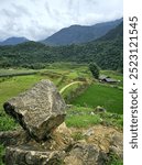 Rice fields below mountain back drop with a balancing rock in the foreground 