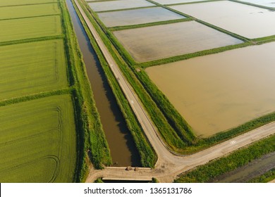 The rice fields are flooded with water. Flooded rice paddies. Agronomic methods of growing rice in the fields. Flooding the fields with water in which rice sown. View from above.