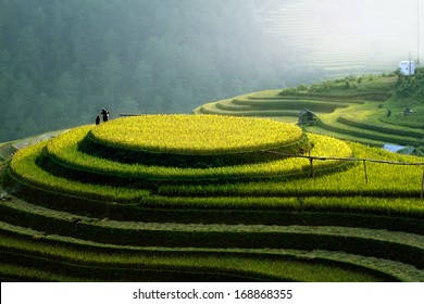 Rice fields Mu Cang Chai, Vietnam