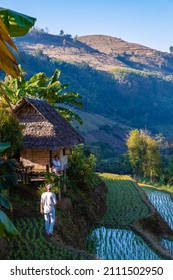 rice fields in Northern Thailand, rice farms in Thailand, rice paddies in the mountains of Northern Thailand Chiang Mai Doi Inthanon. couple man and woman farm stay