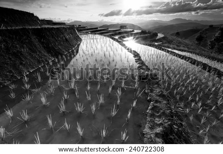 Similar – Image, Stock Photo Iceland Environment Nature