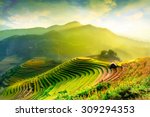 Rice fields on terraced of Mu Cang Chai, YenBai, Vietnam. Vietnam landscapes.