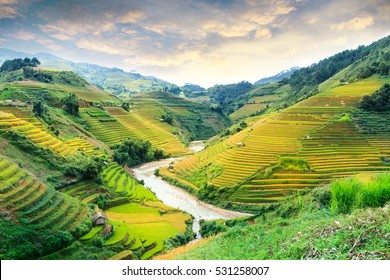 
Rice fields on terraced of Mu Cang Chai, YenBai, Vietnam. Vietnam landscapes.