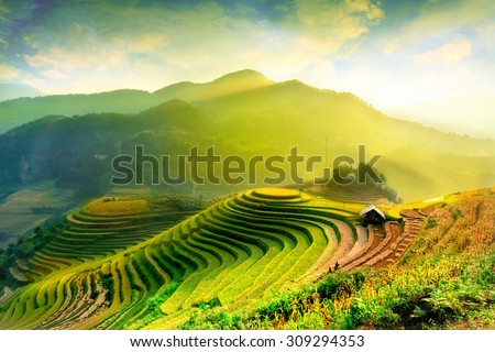 Rice fields on terraced of Mu Cang Chai, YenBai, Vietnam. Vietnam landscapes. ストックフォト © 