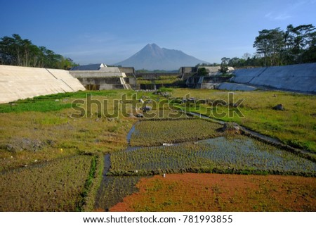 Rice fields of the population of the slopes of Mount Merapi. ( Memanfaatkan lahan di area bendungan penahan lahar dingin gunung Merapi )