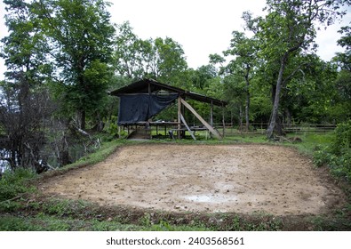 
The rice fields are stuck in the ground. - Powered by Shutterstock