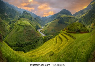 Vietnam Riziere Images Stock Photos Vectors Shutterstock