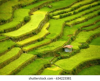 Rice Fields Terraces, Phillipines