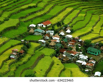 Rice Fields Terraces, Phillipines