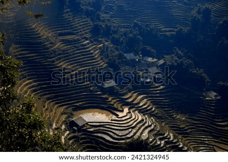 Rice fields in winter in Sapa, Vietnam