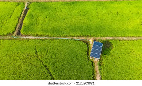 Rice Green Field  And Solar Cells Panel Made Energy For Water Pump Concept For Clean Energy .Desert,Global Warming Background