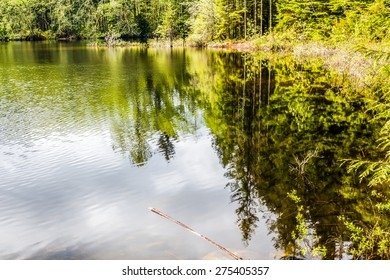 Rice Lake, British Columbia, Canada.