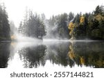 Rice Lake with fog, North Vancouver, BC, Canada