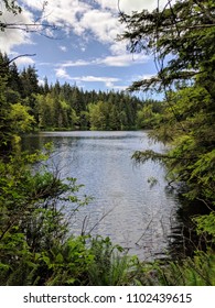 Rice Lake In Vancouver, Canada