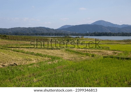 Rice paddies in Miyazu in north of Kyoto in Japan.