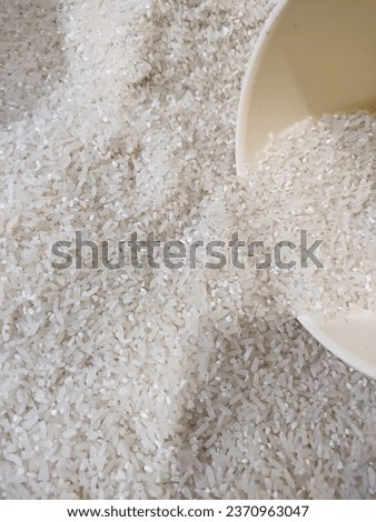 Rice is the part of the grain that has been separated from the husk.  The husk is anatomically called palea and lemma