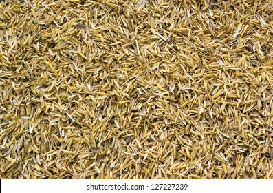 Rice Peel After Harvest And Hull Background