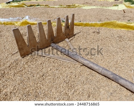 a rice rake made of jagged wood lying on top of drying rice