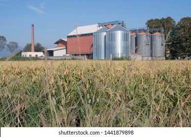 rice silos and plant , Piedmont , Italy