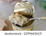 rice soup in a can on a tablespoon