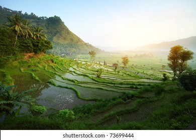 Bali nature Images, Photos & | Shutterstock