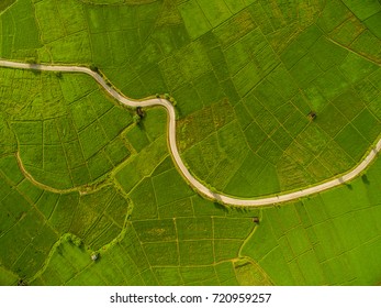 Rice Terrace Aerial Shot. Image of beautiful terrace rice field in Chiang Mai Thailand
