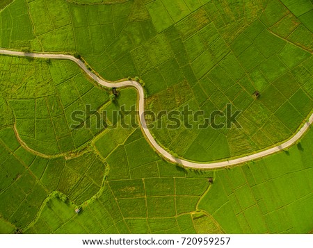 Rice Terrace Aerial Shot. Image of beautiful terrace rice field in Chiang Mai Thailand