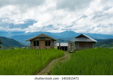 rice terrace field  at Pabongpeang, in Maejam, Chiangmai, Thailand 