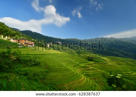rice terraced fields of Wengjia longji Longsheng Hunan China