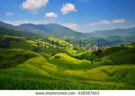 rice terraced fields of Wengjia longji Longsheng Hunan China