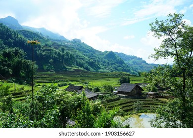 Rice terraces in countryside area of Sapa, Laocai, mountain hills valley in Vientnam.