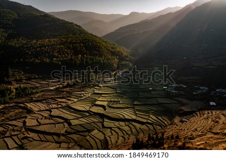 Rice terraces in Haa Valley Bhutan