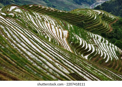 Rice Terraces Of The Mainland, China