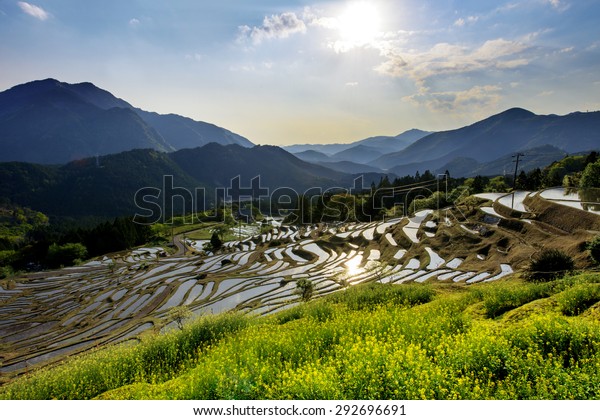 Rice Terraces Maruyama Senmaida Kumano Mie Stock Photo Edit Now