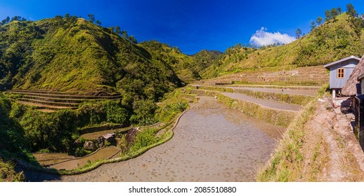 Rice Terraces Near Banaue, Luzon Island, Philippines