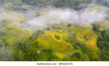 Rice Terraces Paddy Filed In Mu Cang Chai, Vietnam