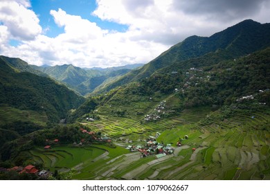 Rice Terraces In Phillipines