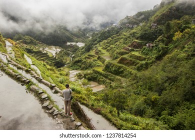 Rice Terraces In The Phillipines