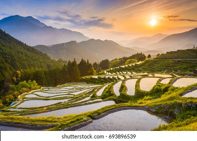 Rice terraces at sunset in Maruyama-senmaida, Kumano, Japan. - Shutterstock ID 693896539