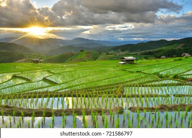 103,171 Rice paddy terracing Images, Stock Photos & Vectors | Shutterstock