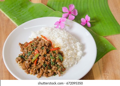 Rice topped with stir-fried pork and basil, Thai food "pad kra pao".