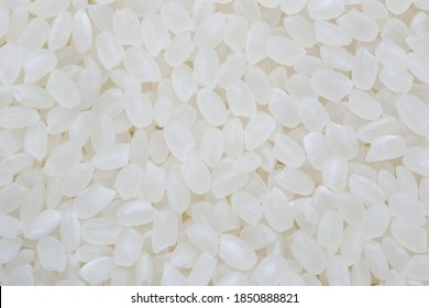 Rice used for sushi. Short Grain Sushi Koshihikari Rice. High resolution.  rice grains healthy food on white background
